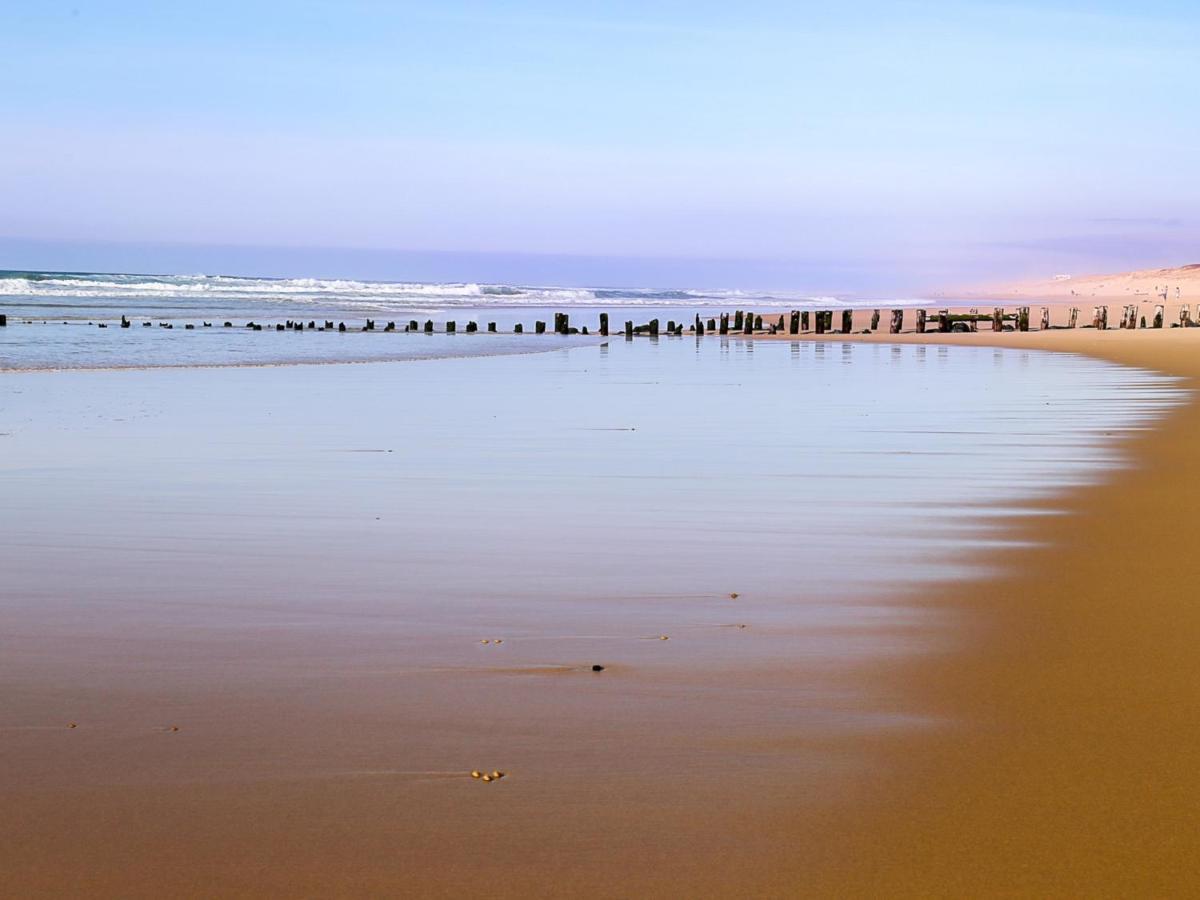 Studio Renove Face A La Dune, Proche Plage Et Commerces, Ideal Pour 2 Personnes - Fr-1-239-150 Seignosse Luaran gambar